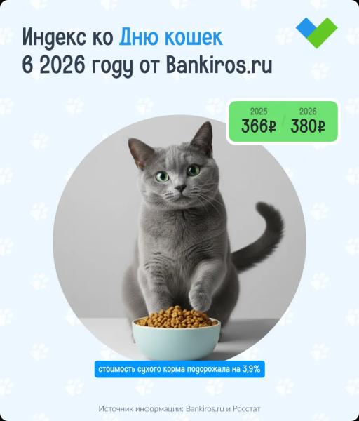 Индекс ко Дню кошек: сколько стоит сухой корм для домашних питомцев в 2026 году в разных городах России?