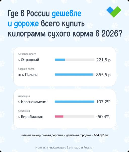 Индекс ко Дню кошек: сколько стоит сухой корм для домашних питомцев в 2026 году в разных городах России?